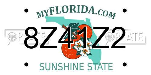 8Z41Z2 Florida License Plate