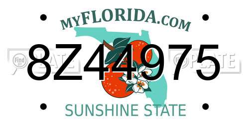 8Z44975 Florida License Plate