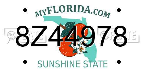 8Z44978 Florida License Plate