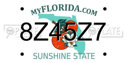 8Z45Z7 Florida License Plate