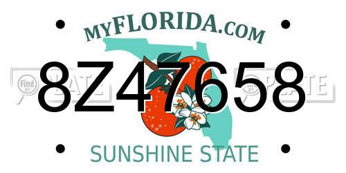 8Z47658 Florida License Plate