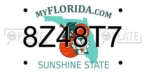8Z48T7 Florida License Plate