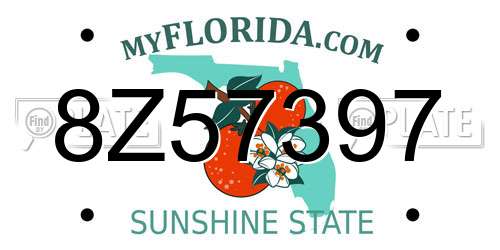 8Z57397 Florida License Plate