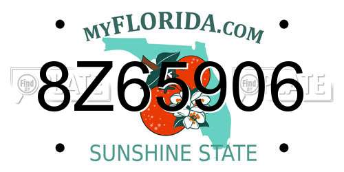 8Z65906 Florida License Plate