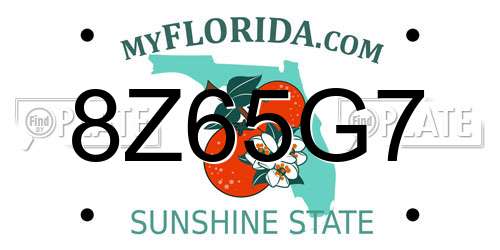 8Z65G7 Florida License Plate