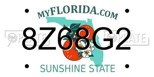 8Z68G2 Florida License Plate