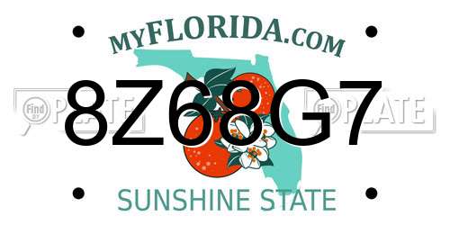 8Z68G7 Florida License Plate