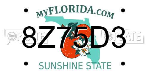 8Z75D3 Florida License Plate