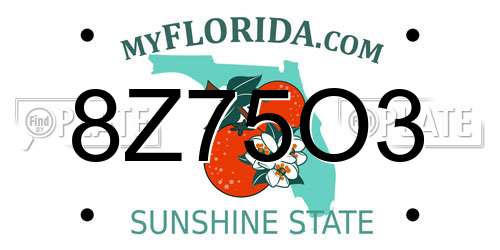 8Z75O3 Florida License Plate