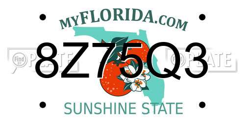 8Z75Q3 Florida License Plate