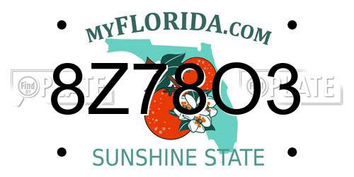 8Z78O3 Florida License Plate