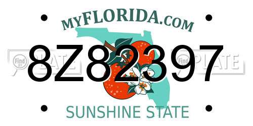 8Z82397 Florida License Plate