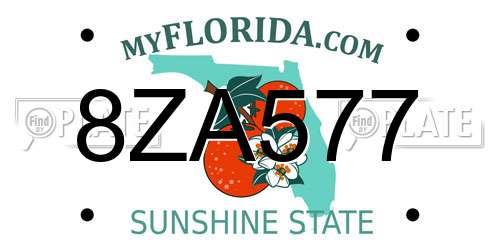 8ZA577 Florida License Plate