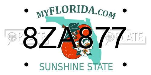 8ZA877 Florida License Plate