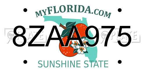 8ZAA975 Florida License Plate