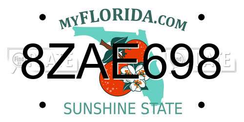 8ZAE698 Florida License Plate