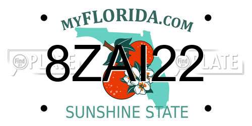 8ZAI22 Florida License Plate