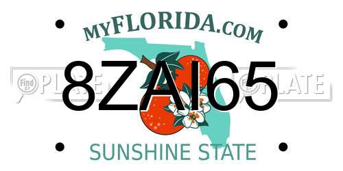 8ZAI65 Florida License Plate