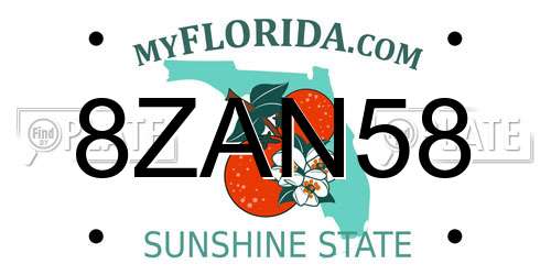 8ZAN58 Florida License Plate