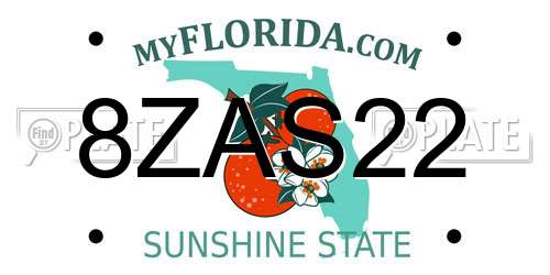 8ZAS22 Florida License Plate