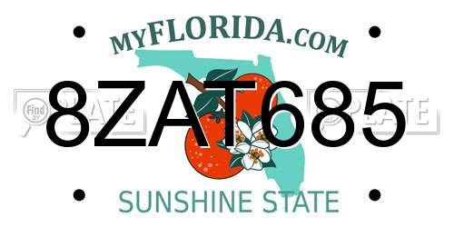 8ZAT685 Florida License Plate