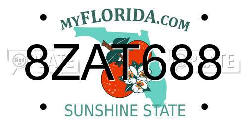 8ZAT688 Florida License Plate