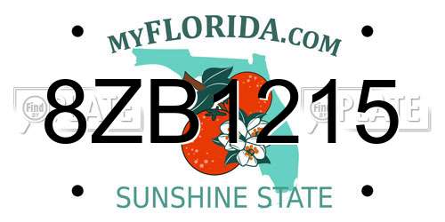 8ZB1215 Florida License Plate