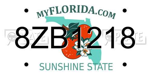 8ZB1218 Florida License Plate