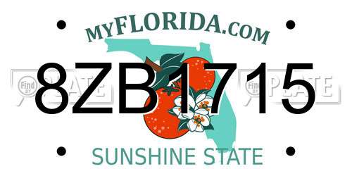 8ZB1715 Florida License Plate