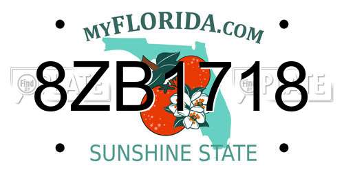 8ZB1718 Florida License Plate