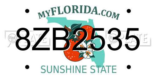 8ZB2535 Florida License Plate