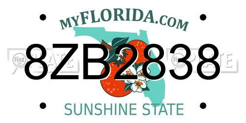 8ZB2838 Florida License Plate