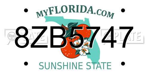 8ZB5747 Florida License Plate