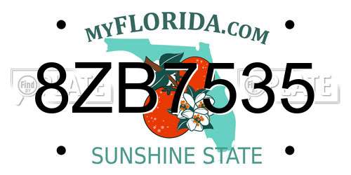 8ZB7535 Florida License Plate
