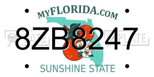 8ZB8247 Florida License Plate