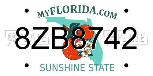 8ZB8742 Florida License Plate