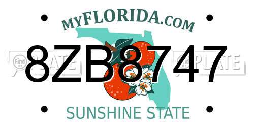 8ZB8747 Florida License Plate