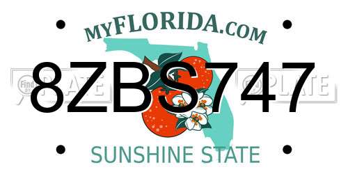 8ZBS747 Florida License Plate