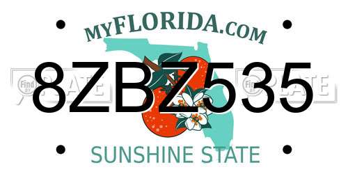 8ZBZ535 Florida License Plate