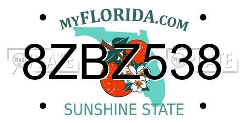 8ZBZ538 Florida License Plate