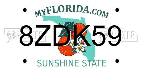 8ZDK59 Florida License Plate