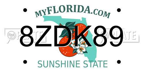 8ZDK89 Florida License Plate
