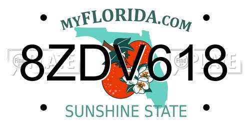 8ZDV618 Florida License Plate