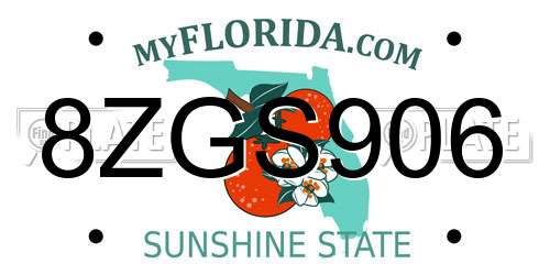 8ZGS906 Florida License Plate