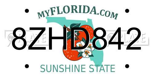 8ZHD842 Florida License Plate