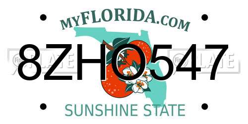8ZHO547 Florida License Plate