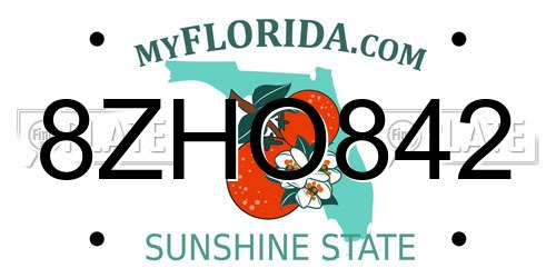 8ZHO842 Florida License Plate