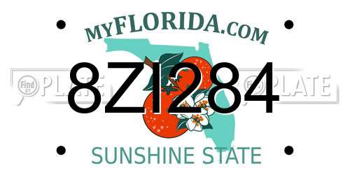 8ZI284 Florida License Plate
