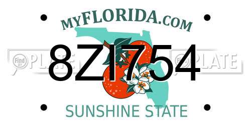 8ZI754 Florida License Plate