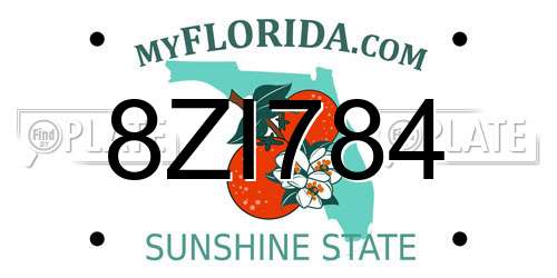 8ZI784 Florida License Plate